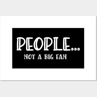 Funny People Not A Big Fan Introvert Sarcasm 8 Posters and Art